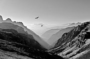 TEMA B SEGNALATA CAROLI RICCARDO RAPACI DOLOMITICI